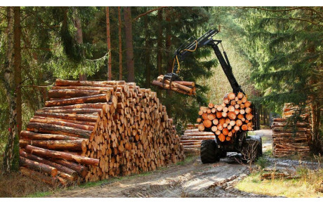 Travaux Forestier Foucher - Bouzy la forêt